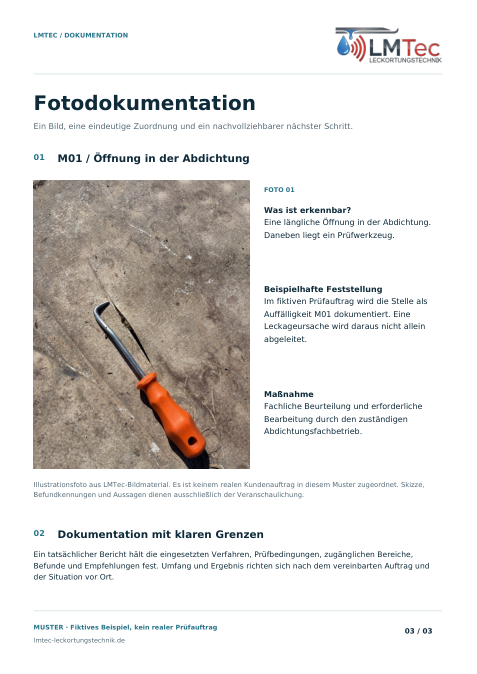 Musterbericht Seite 3: Foto und Empfehlung